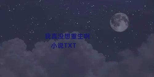 我真没想重生啊 小说TXT